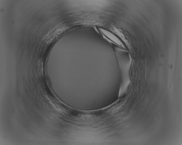 X0000087370205200705181225