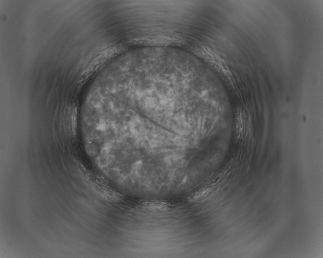 X0000087370206200705181225