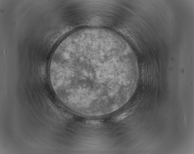 X0000087370208200705181225