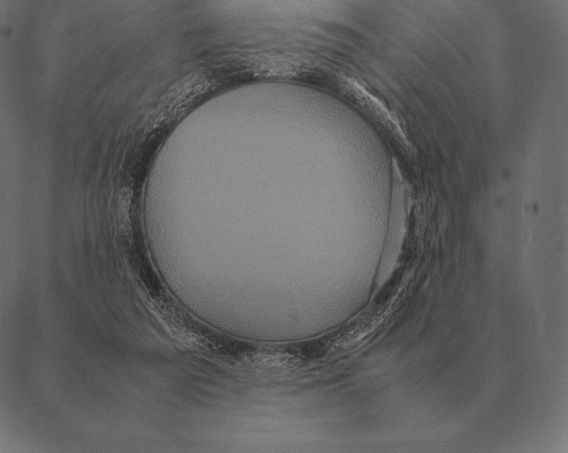 X0000087370209200705181225