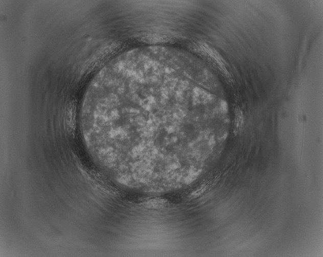 X0000087370210200705181225