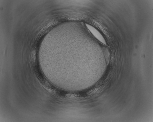 X0000087370211200705181225