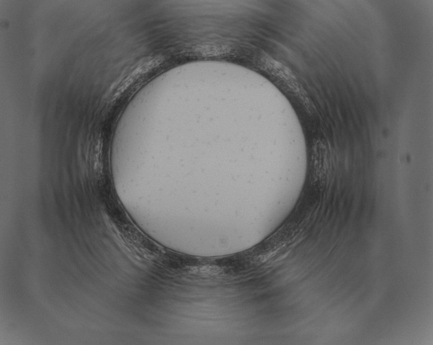 X0000087370212200705181225