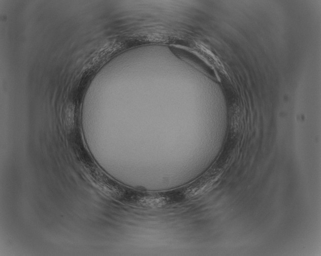 X0000087370213200705181225