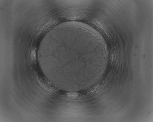 X0000087370214200705181225