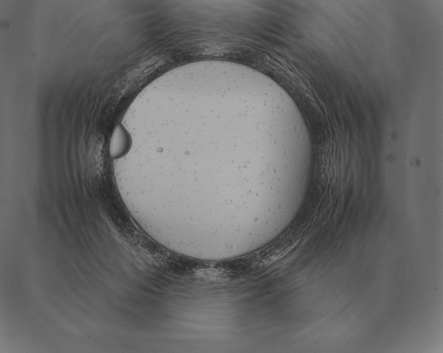 X0000087370216200705181225