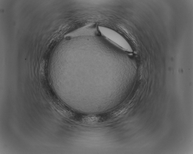 X0000087370217200705181225