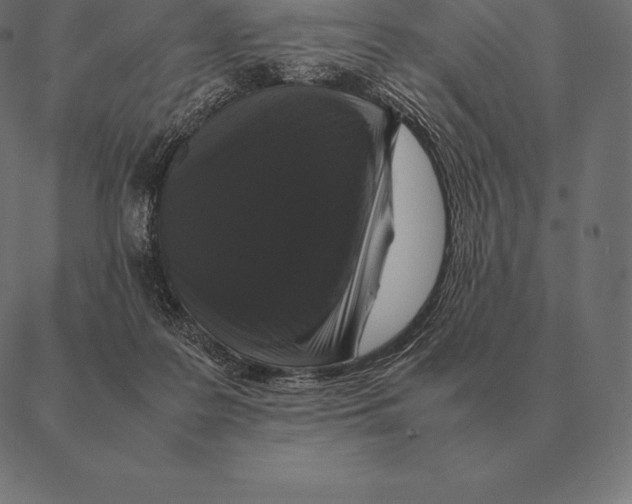 X0000087370219200705181225