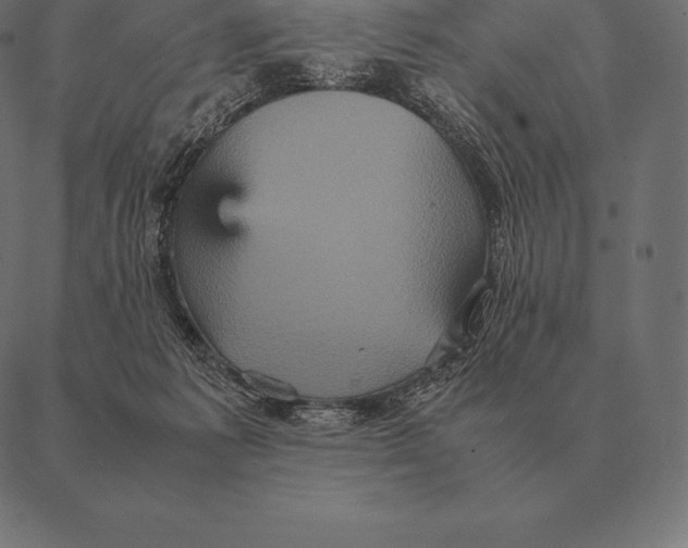 X0000087370221200705181225