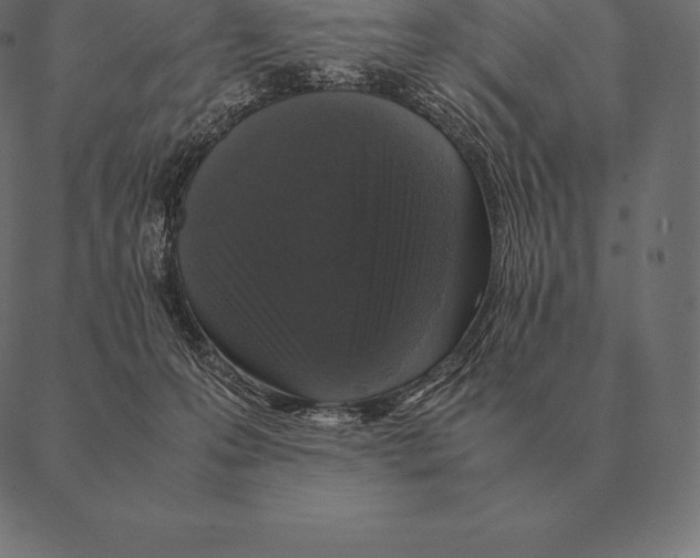 X0000087370223200705181225