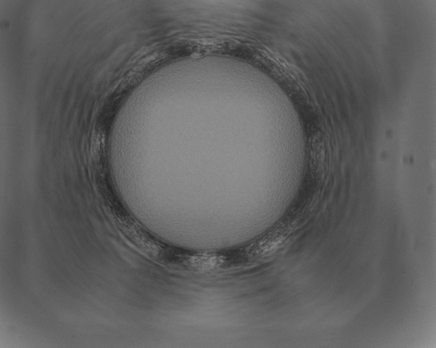 X0000087370225200705181225