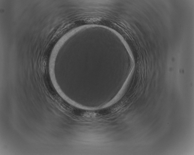 X0000087370227200705181224