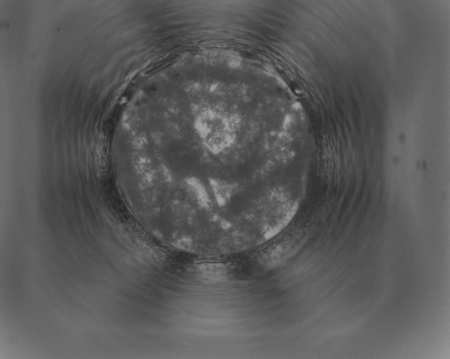 X0000087370228200705181224