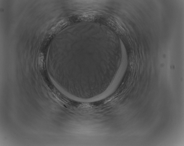 X0000087370231200705181224