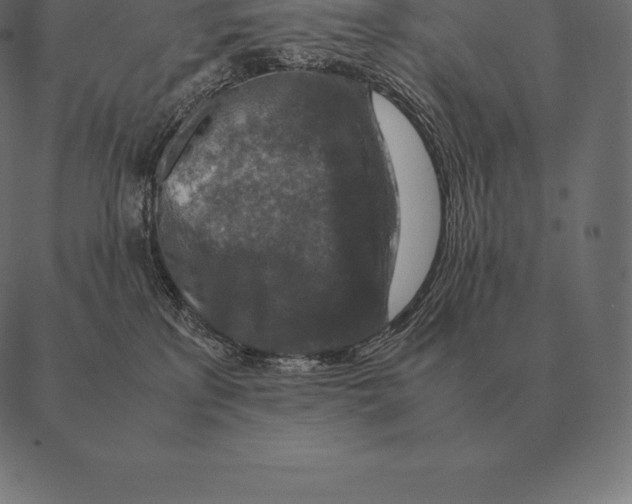 X0000087370233200705181224