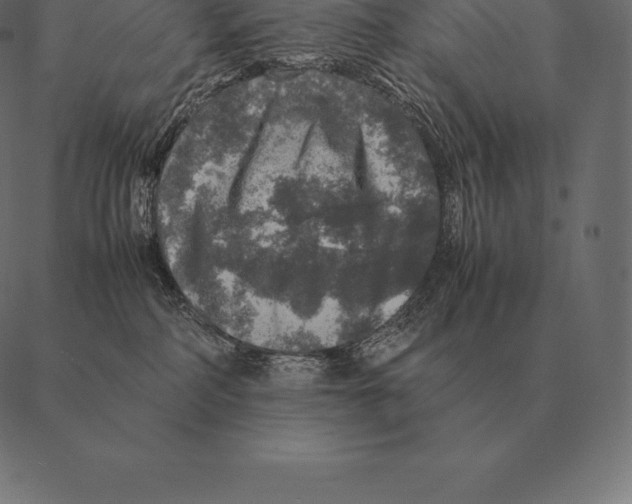 X0000087370234200705181224