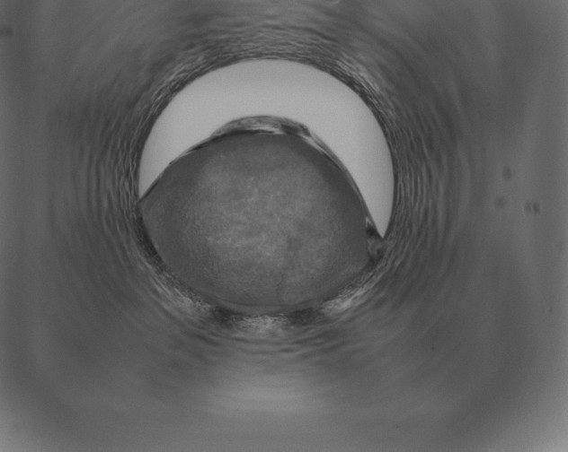 X0000087370237200705181224