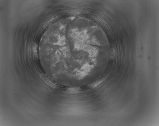 X0000087370238200705181224