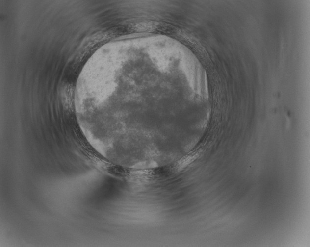 X0000087370240200705181224