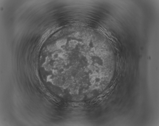 X0000087370241200705181223