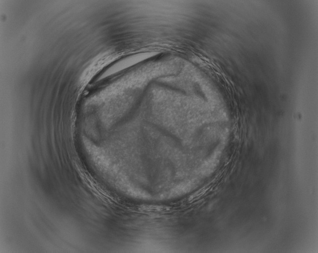 X0000087370242200705181224