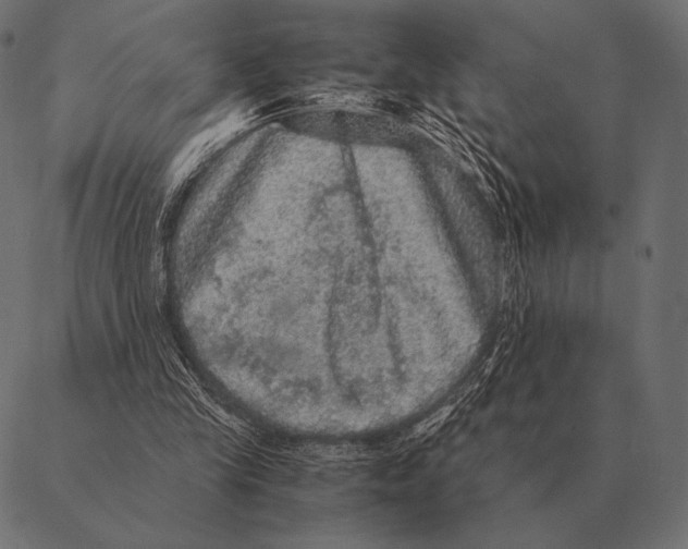 X0000087370245200705181224