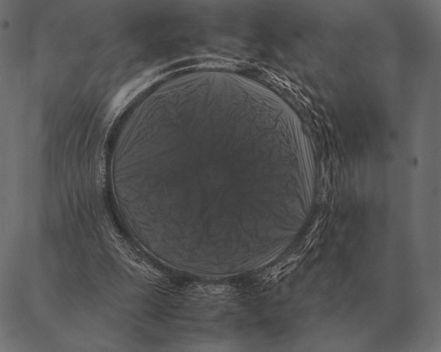 X0000087370247200705181224