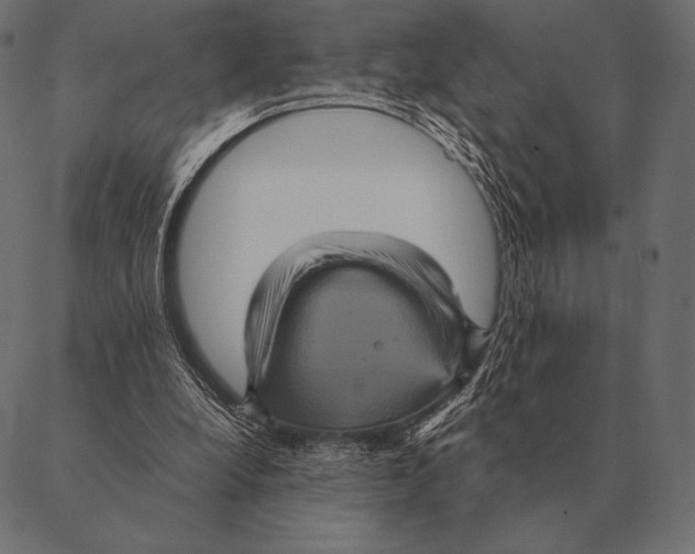 X0000087370248200705181224