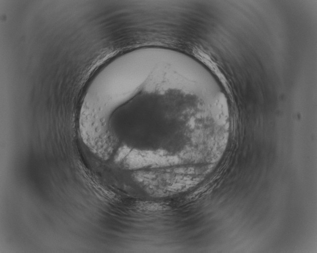 X0000087370249200705181224