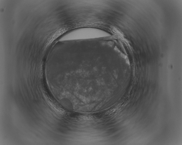 X0000087370250200705181224