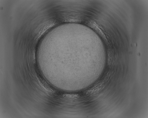 X0000087370251200705181224