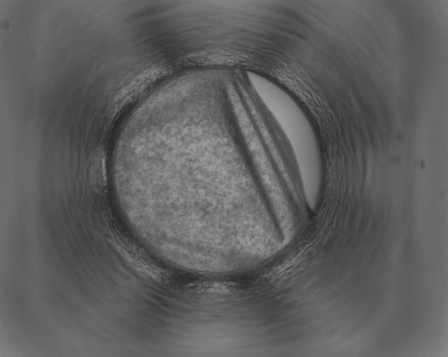 X0000087370254200705181224