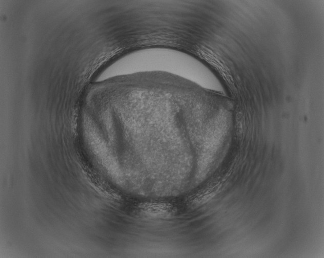 X0000087370255200705181224