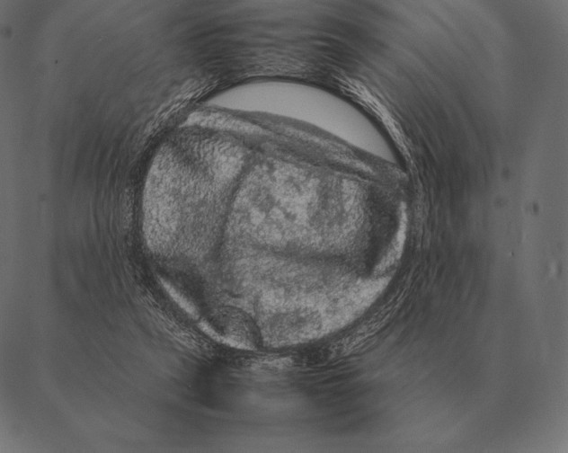 X0000087370257200705181224