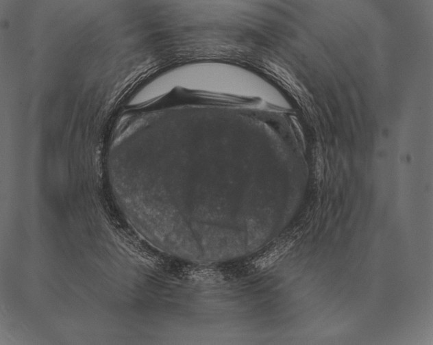 X0000087370258200705181224