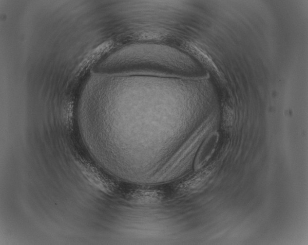 X0000087370260200705181224