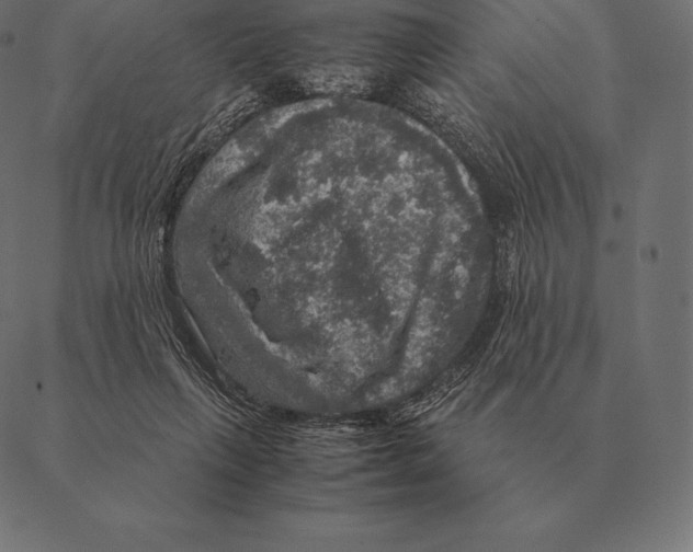 X0000087370263200705181224