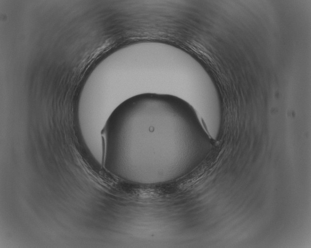 X0000087370264200705181224