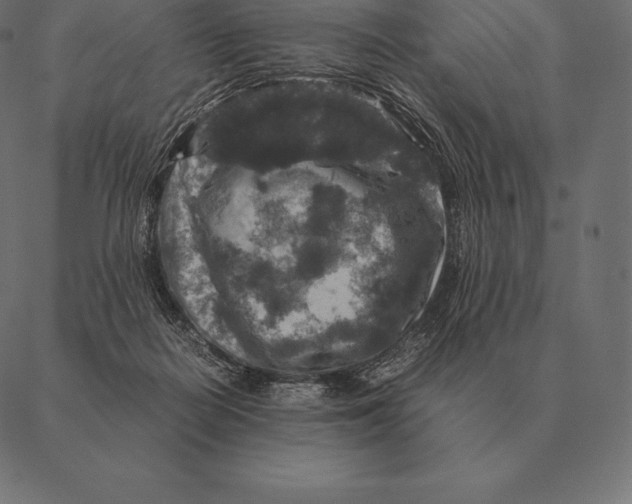 X0000087370266200705181224