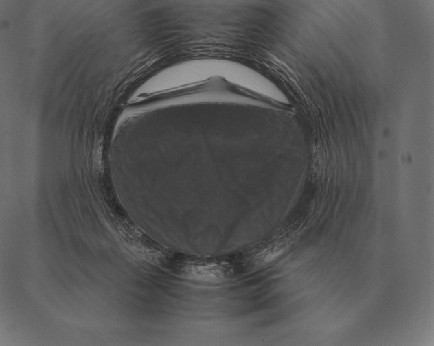 X0000087370267200705181224