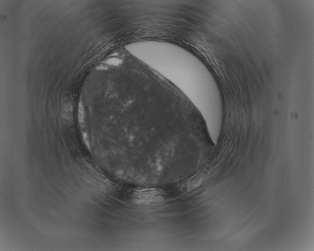 X0000087370269200705181224