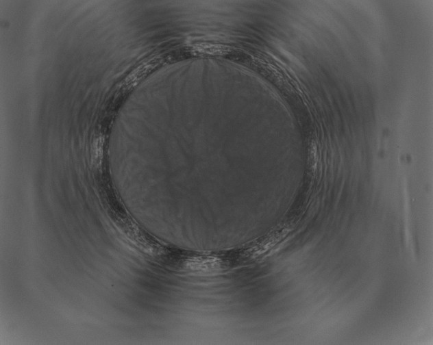 X0000087370271200705181224