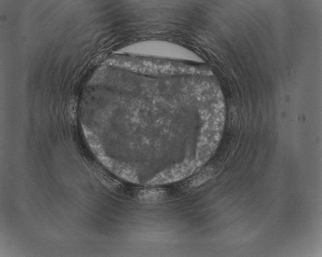 X0000087370274200705181224