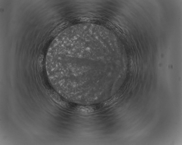 X0000087370275200705181224