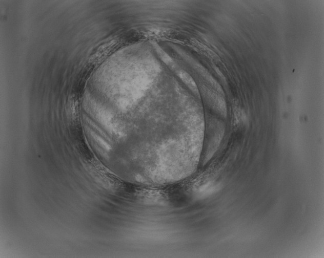 X0000087370276200705181224