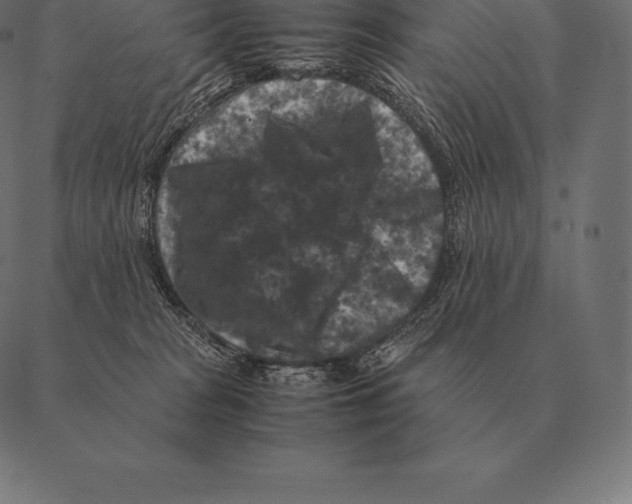 X0000087370277200705181224