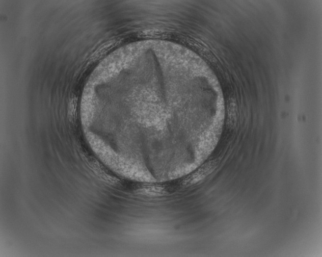 X0000087370278200705181224