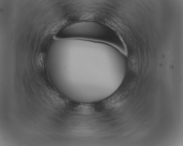 X0000087370280200705181224