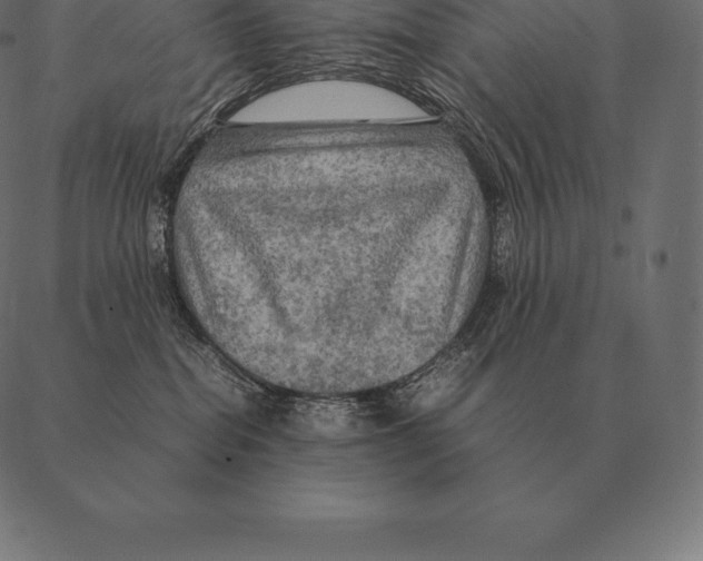 X0000087370282200705181224