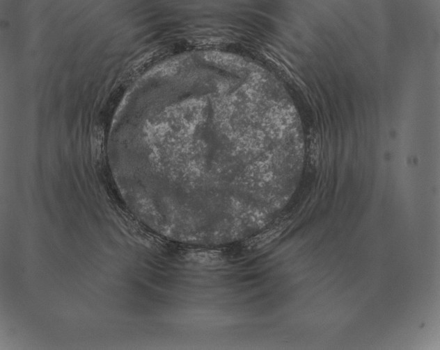 X0000087370283200705181224